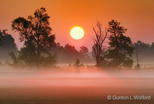Misty Sunrise_26310.jpg - Photographed near Smiths Falls, Ontario, Canada.